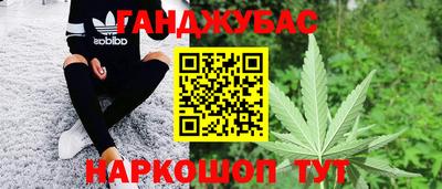 apvp Можга