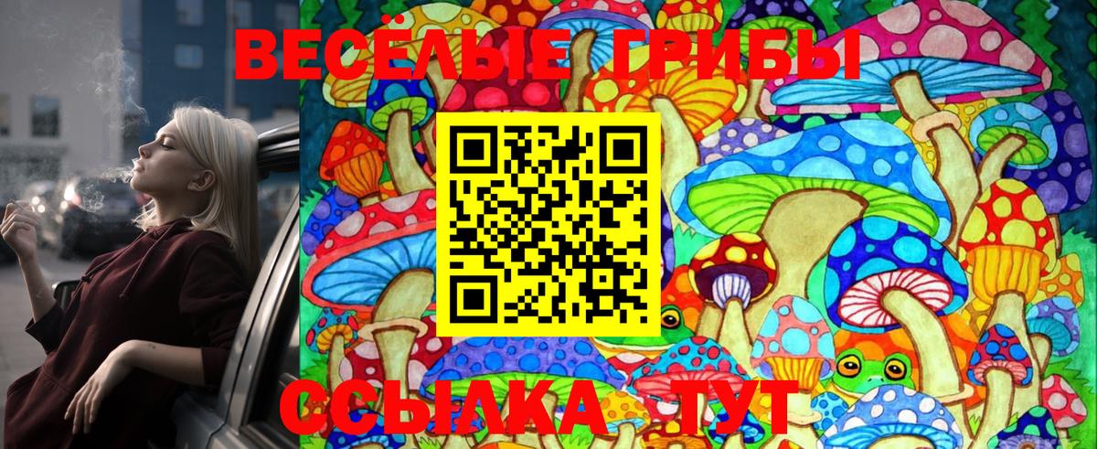 Псилоцибиновые грибы Psilocybe  Вход с VPN  Саранск 
